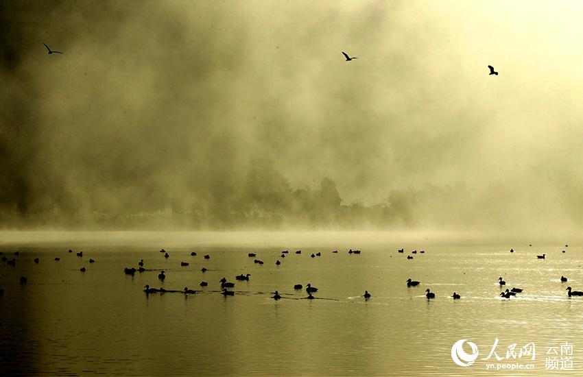 In pics: Come and watch 67 kinds of water birds at Tengchong in China’s Yunnan Province