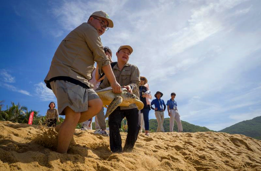 Turtles released back into sea in Hainan