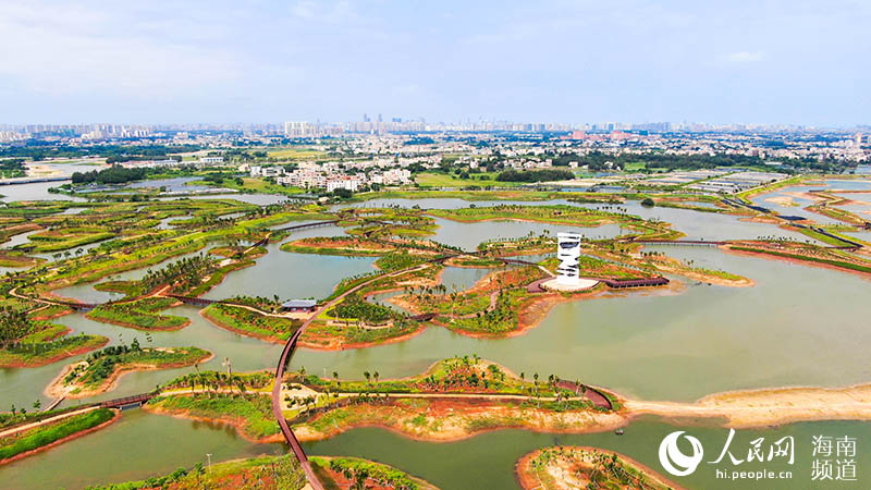 Fishponds transformed into wetland oases in S China's Hainan