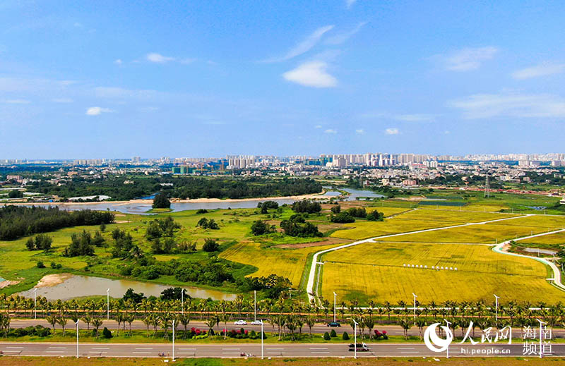 Fishponds transformed into wetland oases in S China's Hainan