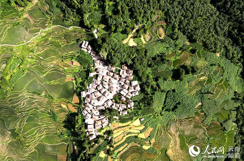 Honghe Hani Rice Terraces in SW China’s Yunnan: a masterpiece of the local people