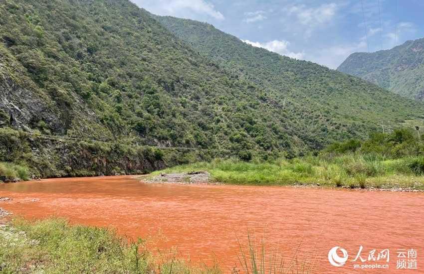 Rare grass species discovered in SW China