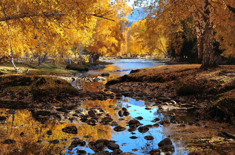 Explore fascinating autumnal vistas in NW China's Xinjiang