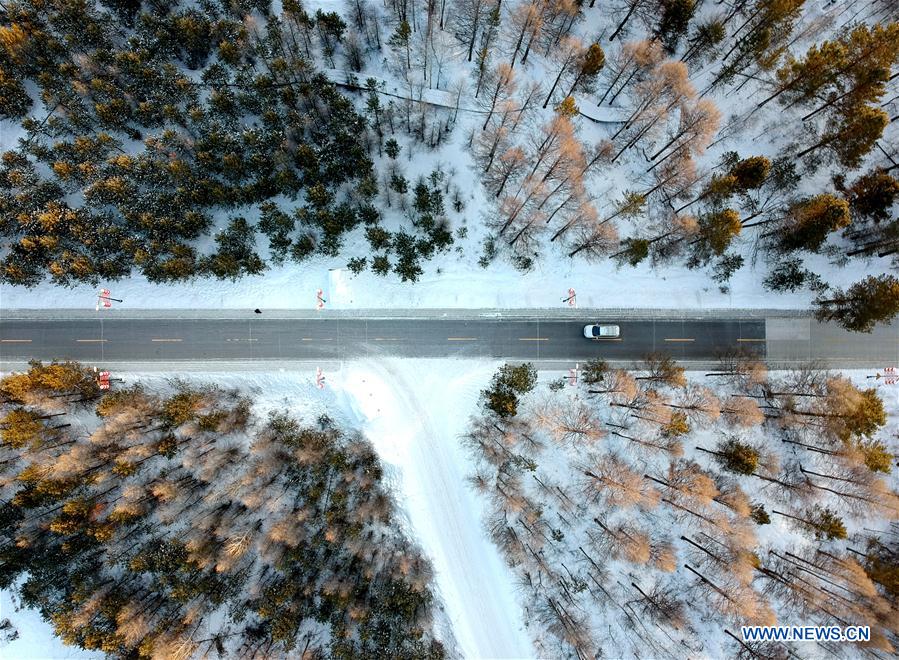 China’s northernmost village marches toward prosperity by developing local tourism