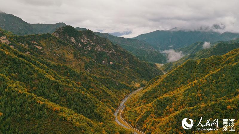 In pics: breathtaking autumn scenery along most beautiful road in NW China’s Qinghai