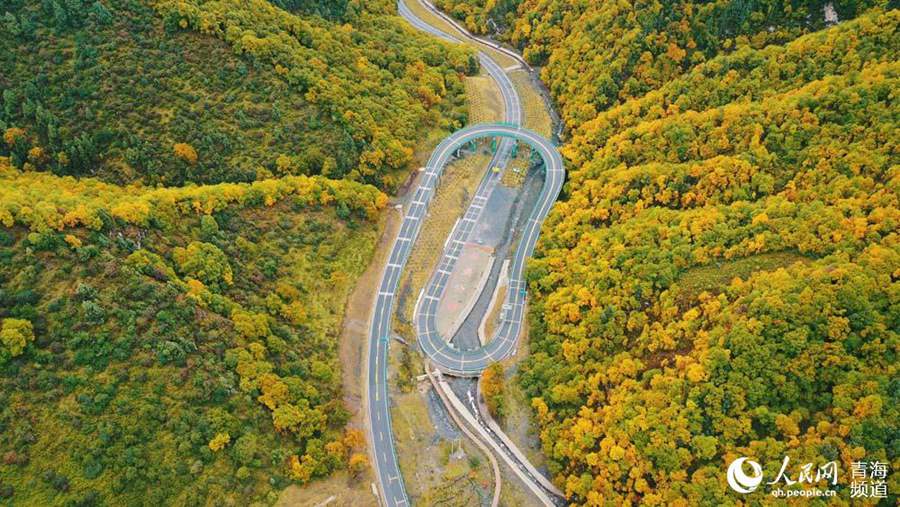 In pics: breathtaking autumn scenery along most beautiful road in NW China’s Qinghai