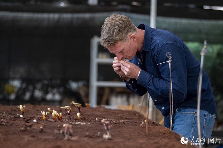 South African botanist contributes his achievements to support China's rich biodiversity resources