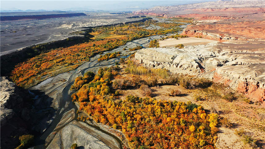 Autumn scenery of Red River Valley in NW China's Xinjiang