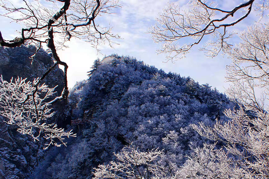 Snow-covered Yaoshan Mountain in Henan: a real-world wonderland