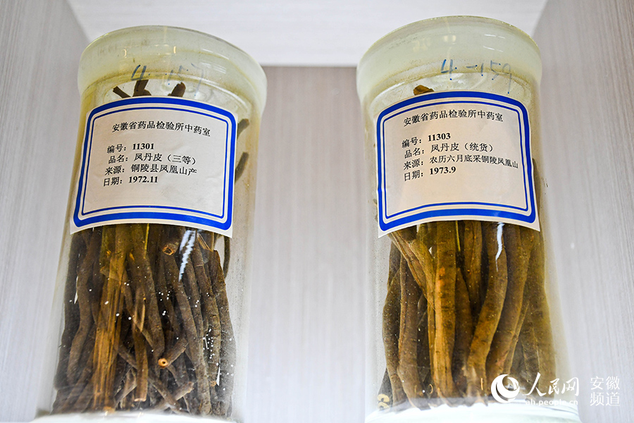 Over 10,000 medicinal specimens in E China's Anhui showcase splendid history of TCM research