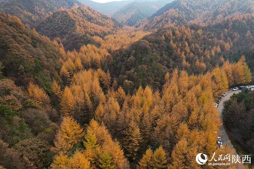 Picturesque autumn in Qinling Mountains