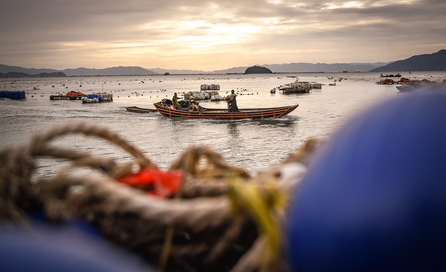 Explore simple, idyllic fishermen's life in Fujian's small village