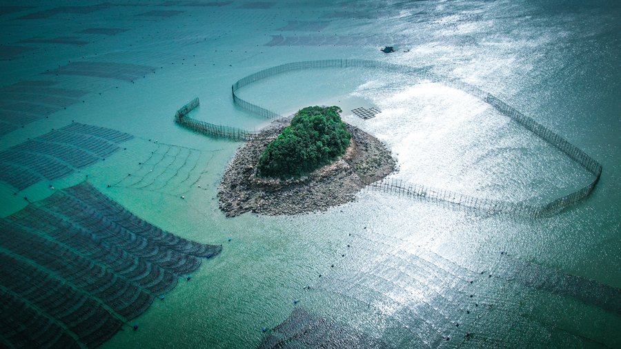 Explore simple, idyllic fishermen's life in Fujian's small village