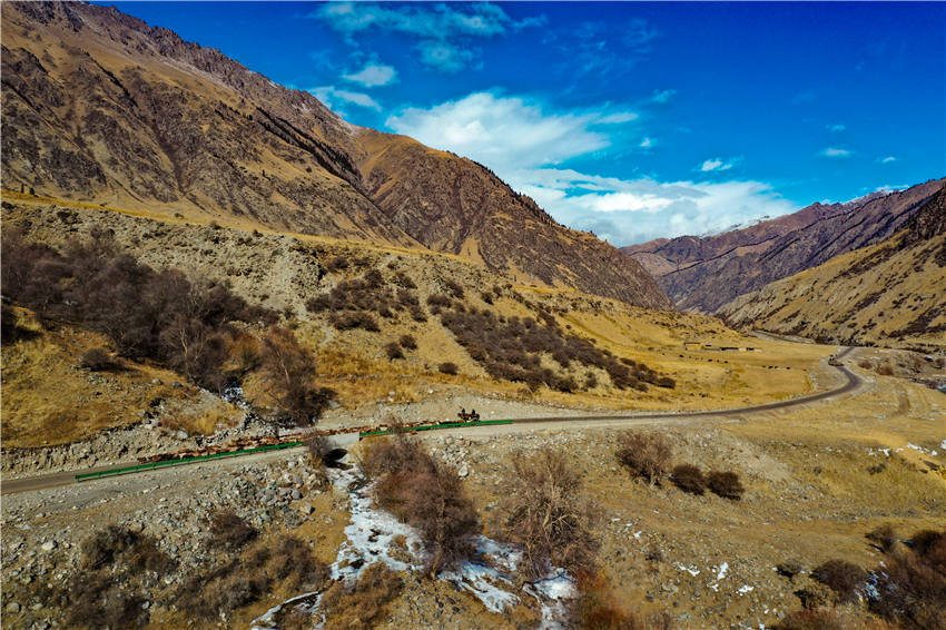 Seasonal livestock migration begins in Zhaosu, NW China's Xinjiang