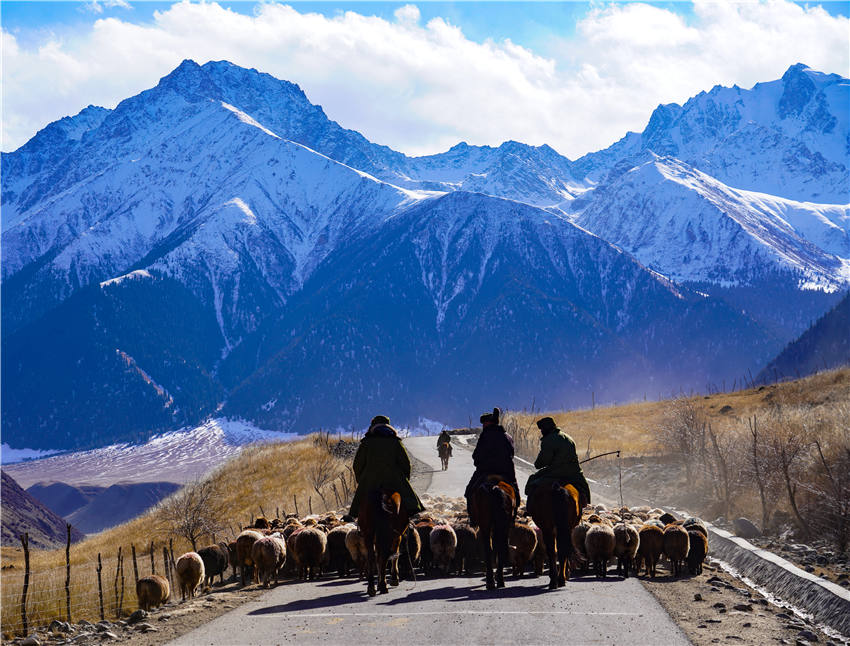 Seasonal livestock migration begins in Zhaosu, NW China's Xinjiang