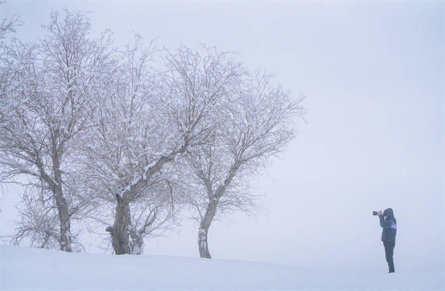 Snow creates winter wonderland in Taklimakan Desert, NW China's Xinjiang