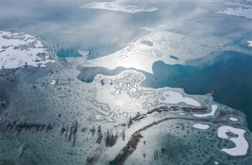 Snow creates winter wonderland in Taklimakan Desert, NW China's Xinjiang