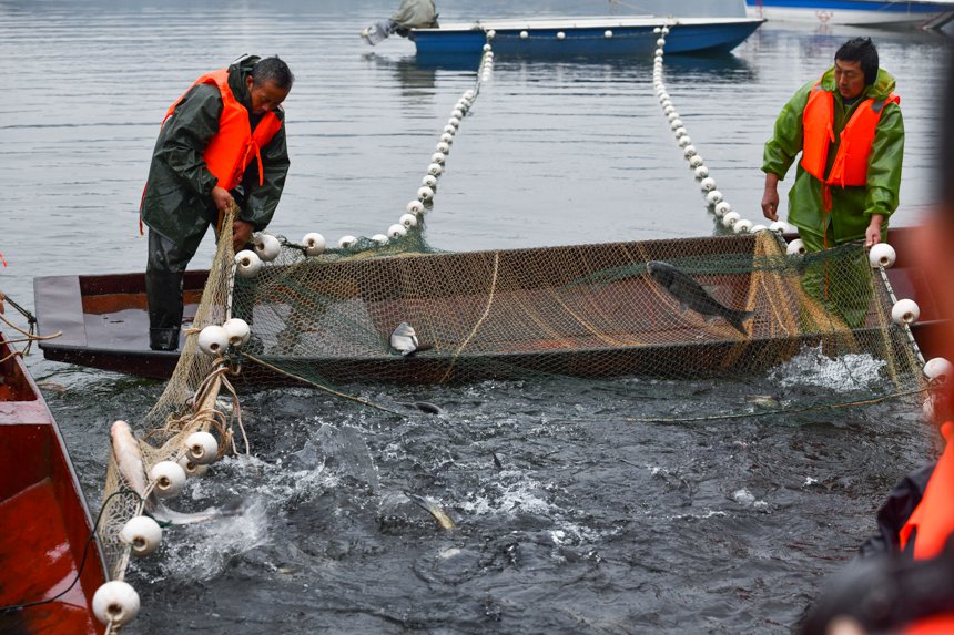 Winter fishing kicks off at ecological reservoir in SW China's Chongqing