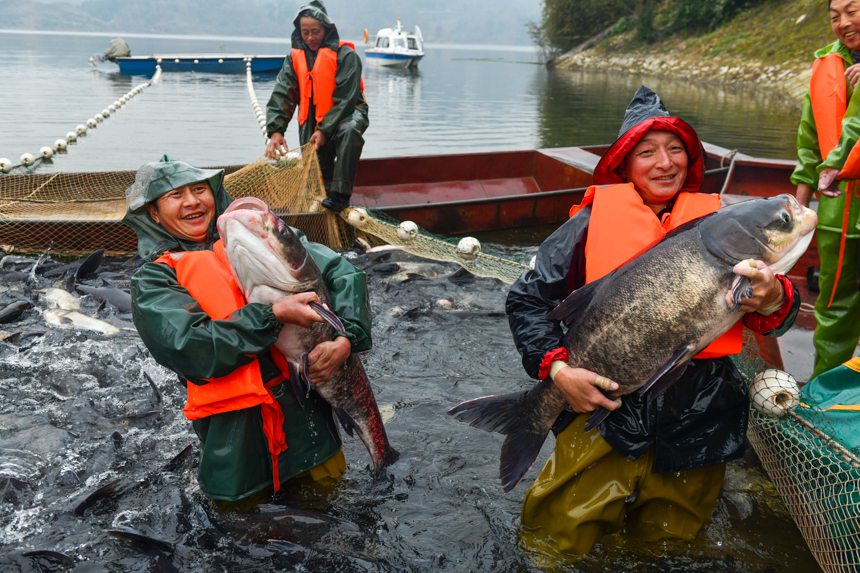 Winter fishing kicks off at ecological reservoir in SW China's Chongqing