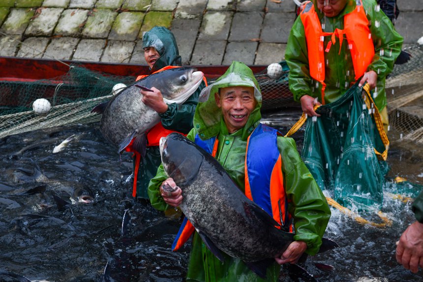 Winter fishing kicks off at ecological reservoir in SW China's Chongqing