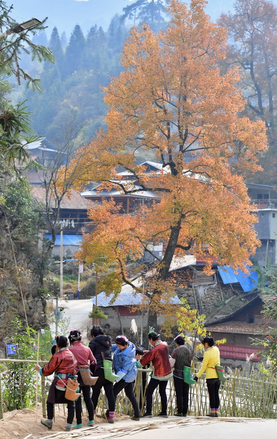 Wuying Miao village in Guangxi works to improve local quality of life by making improvements to surrounding infrastructure, industries