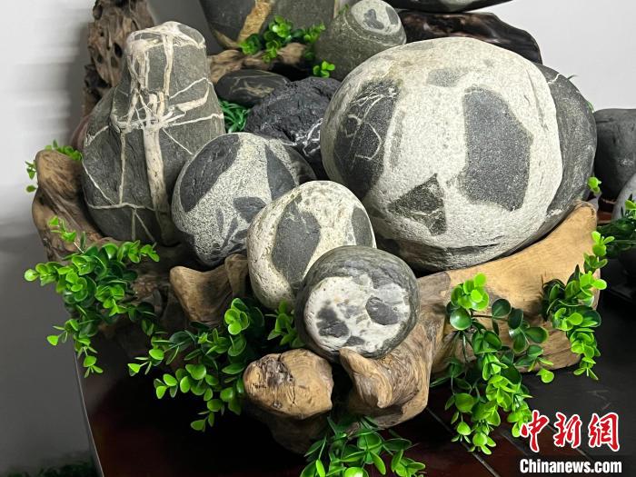 Man collects 300 precious stones that resemble the appearance of prized giant pandas