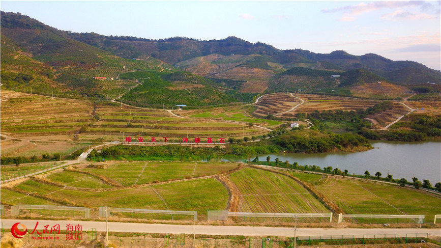 First phase of national seed breeding base in S China’s Hainan completed