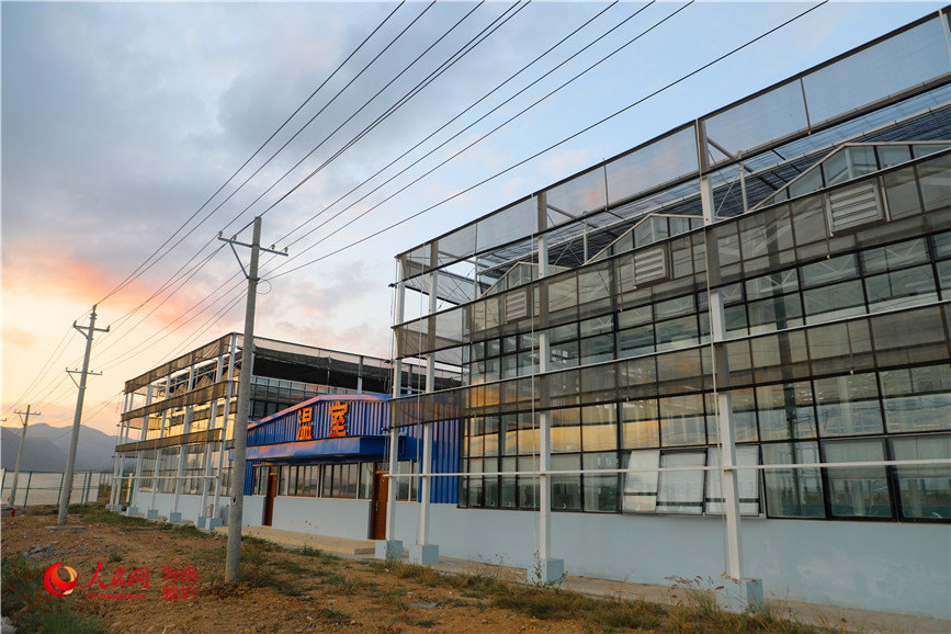 First phase of national seed breeding base in S China’s Hainan completed