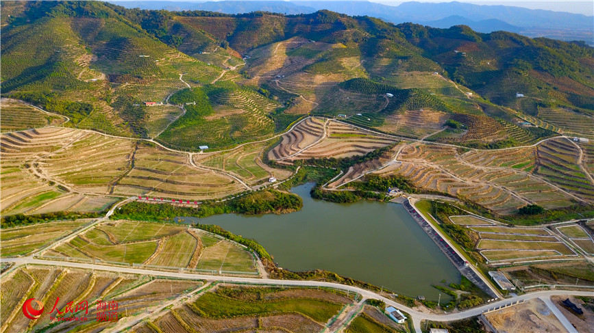 First phase of national seed breeding base in S China’s Hainan completed