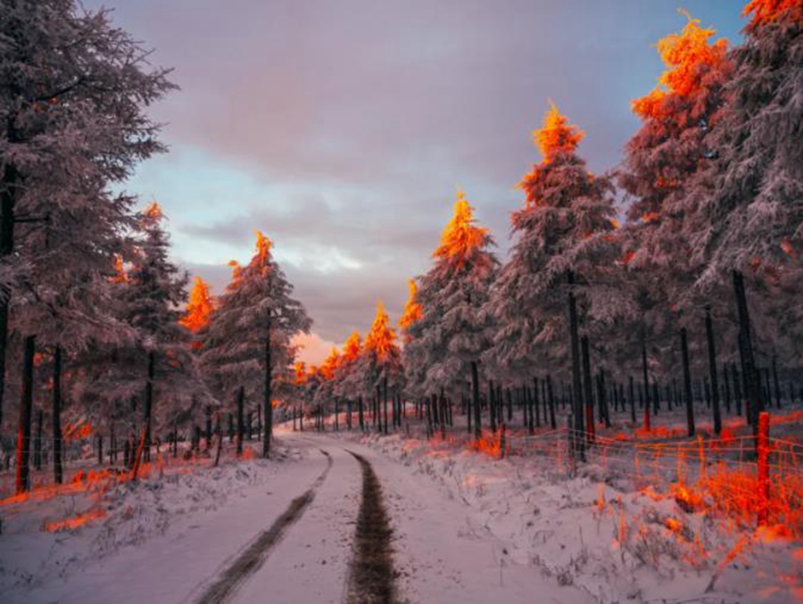 In pics: Picturesque snowy scenery captured across China