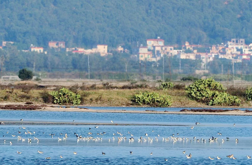 Explore ecological diversity of Hainan Island on World Wildlife Day