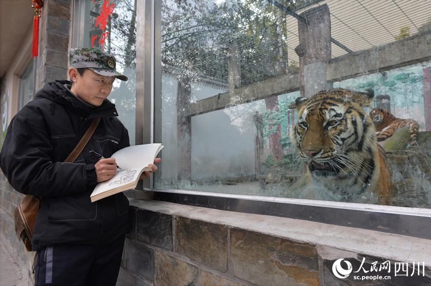 Folk artist in Sichuan creates lifelike tiger-themed stone paintings