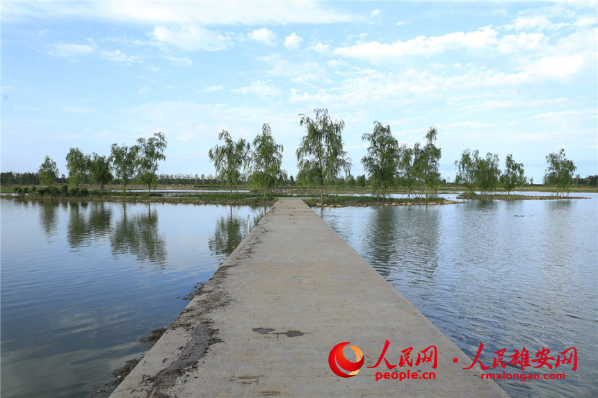 Desolate land in Xiongan New Area turned into popular park