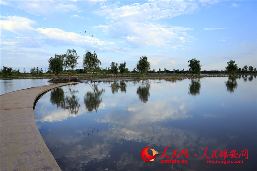 Desolate land in Xiongan New Area turned into popular park