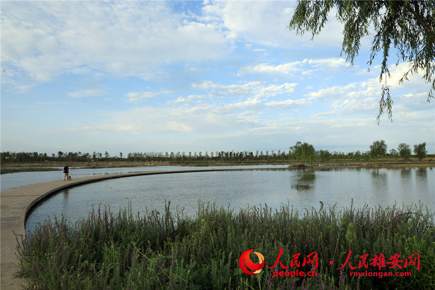 Desolate land in Xiongan New Area turned into popular park