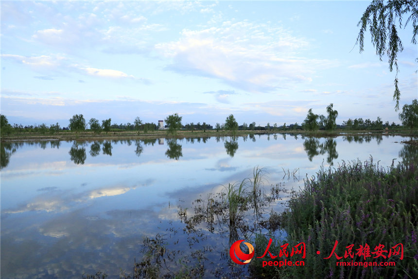 Desolate land in Xiongan New Area turned into popular park