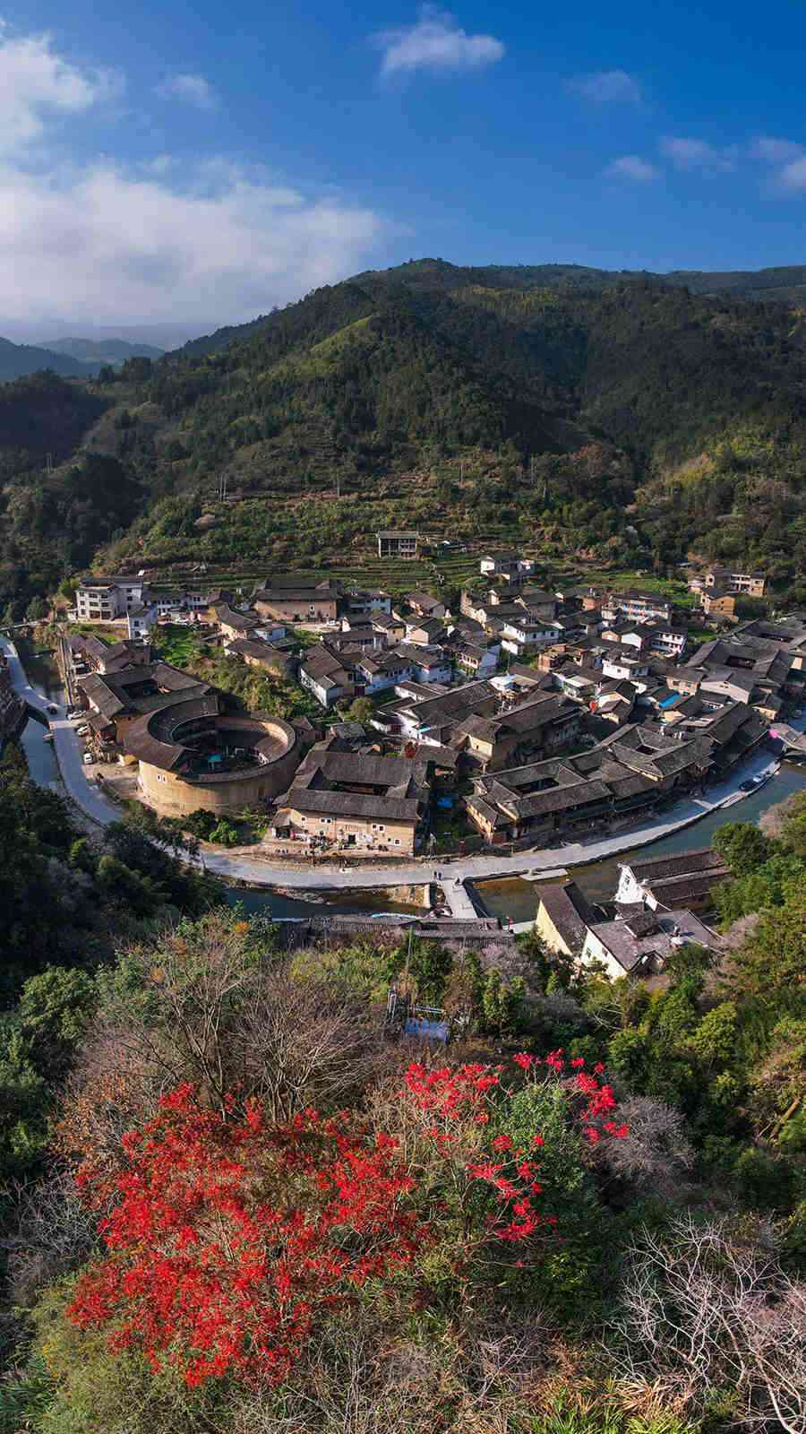 Blooming flowers freshen up age-old earthen buildings in SE China’s Fujian Province