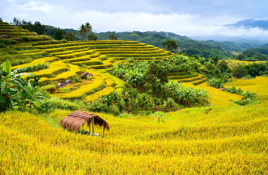 Sound ecological environment brings wealth to local residents in Wuzhishan city in Hainan