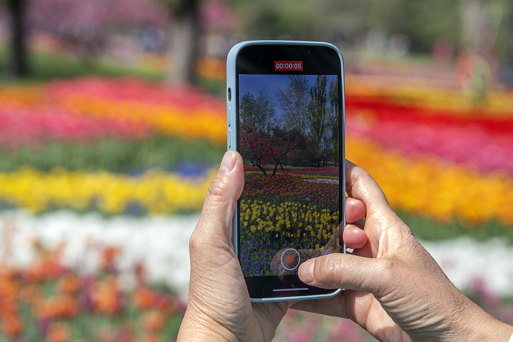 China National Botanical Garden in Beijing enters best time of year for admiring blooming flowers