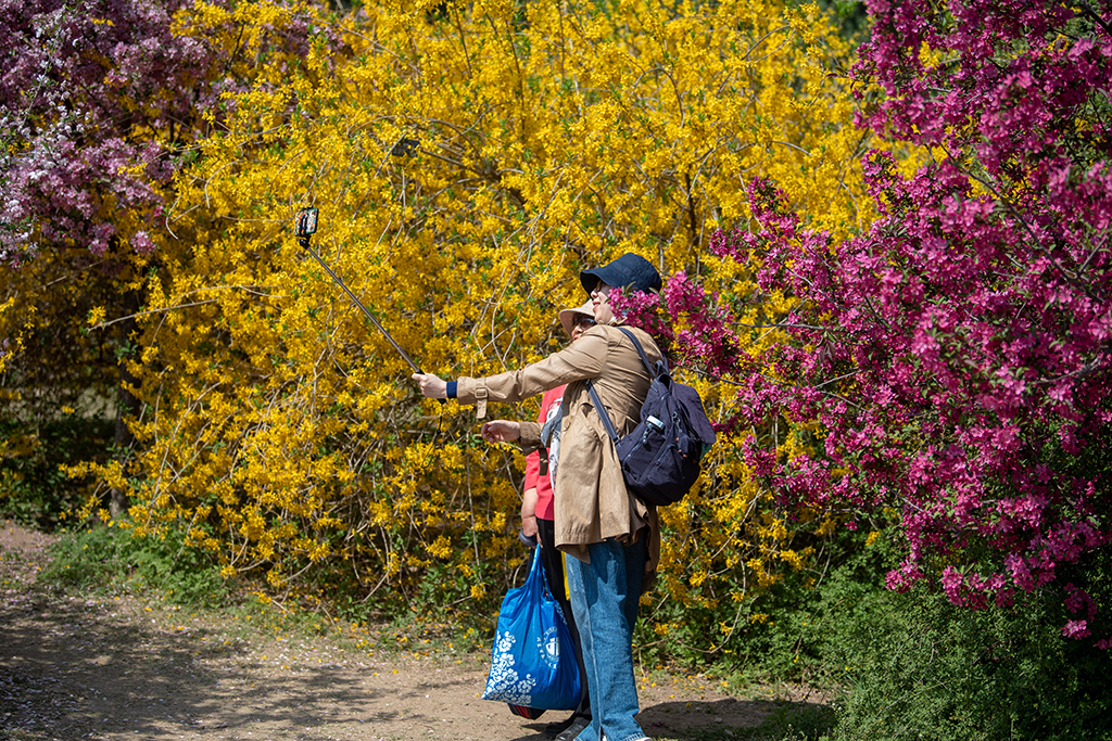 China National Botanical Garden in Beijing enters best time of year for admiring blooming flowers