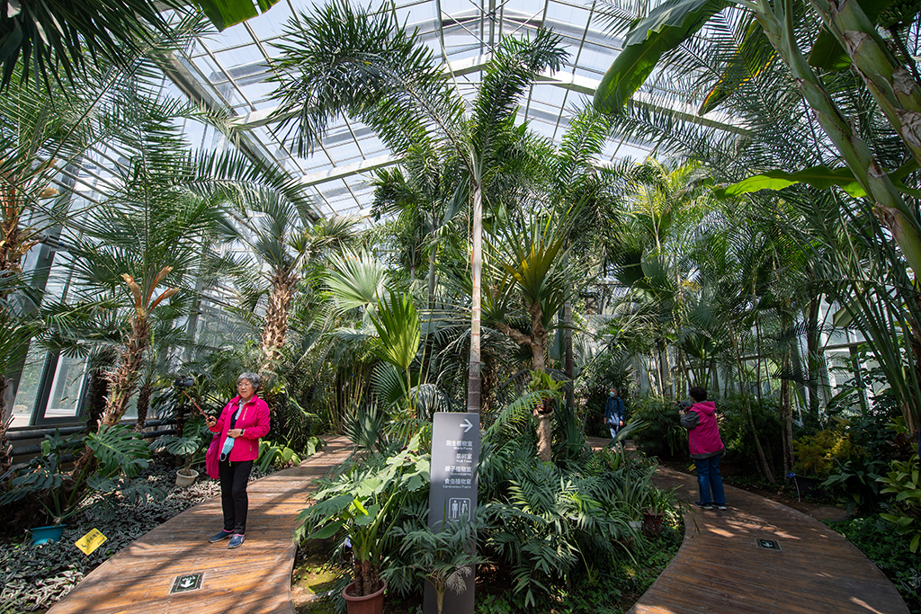 China National Botanical Garden in Beijing enters best time of year for admiring blooming flowers