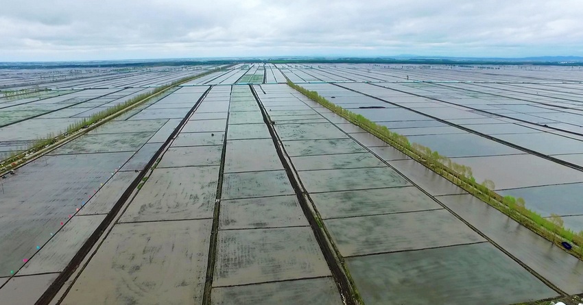 Beidou helps spring ploughing achieve unmanned rice transplanting in Heilongjiang