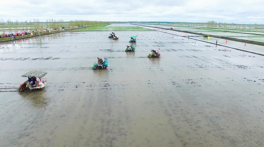 Beidou helps spring ploughing achieve unmanned rice transplanting in Heilongjiang