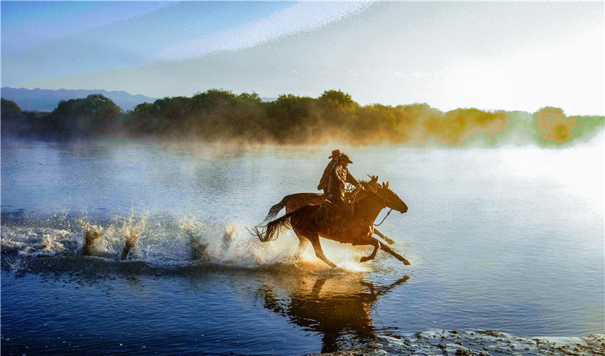 Spectacular views of horses frolicking in the river waters in NW China’s Xinjiang