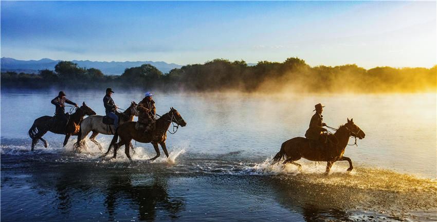 Spectacular views of horses frolicking in the river waters in NW China’s Xinjiang