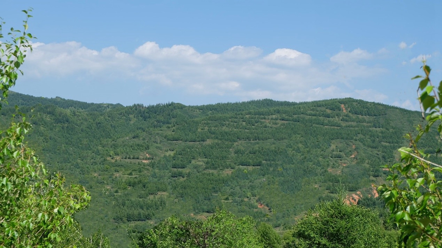 Lush greeneries flourish in Longde county, NW China’s Ningxia