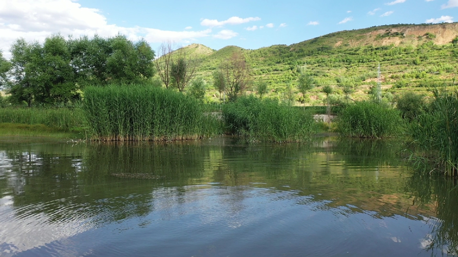 Lush greeneries flourish in Longde county, NW China’s Ningxia