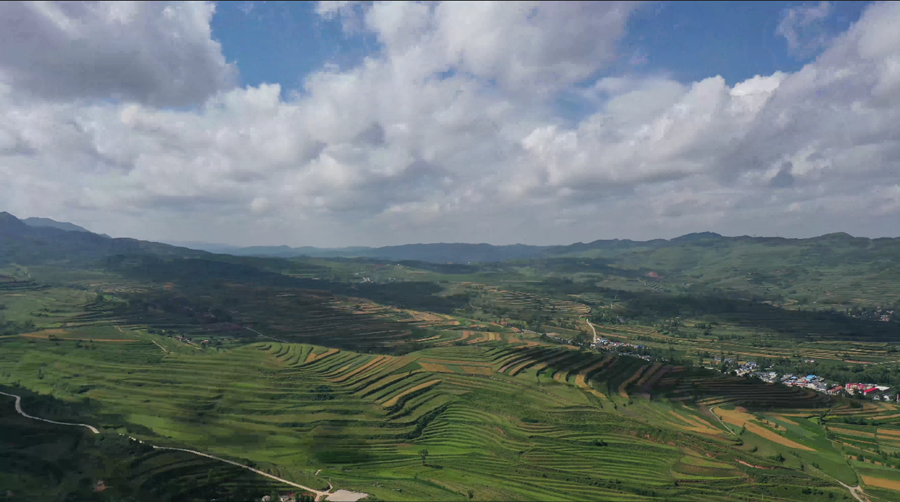 Lush greeneries flourish in Longde county, NW China’s Ningxia