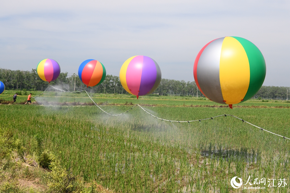 Rice farmers in E China’s Jiangsu spray chemicals onto farms with help of specially rigged hydrogen balloons