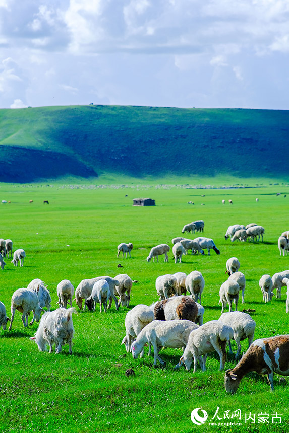 Picturesque summer scenery of Hulun Buir Grassland in N China’s Inner Mongolia